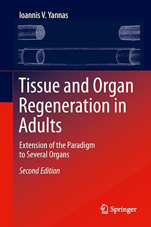 Tissue and Organ Regeneration in Adults