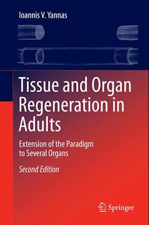 Tissue and Organ Regeneration in Adults