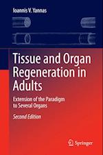 Tissue and Organ Regeneration in Adults