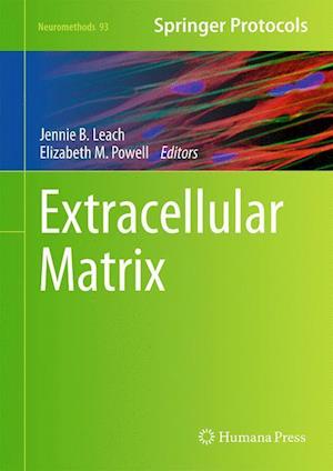 Extracellular Matrix