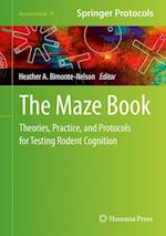 The Maze Book