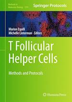 T follicular Helper Cells