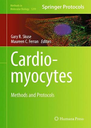 Cardiomyocytes