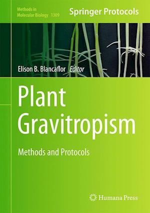 Plant Gravitropism