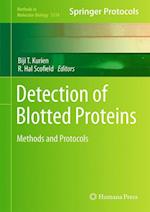 Detection of Blotted Proteins