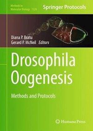 Drosophila Oogenesis