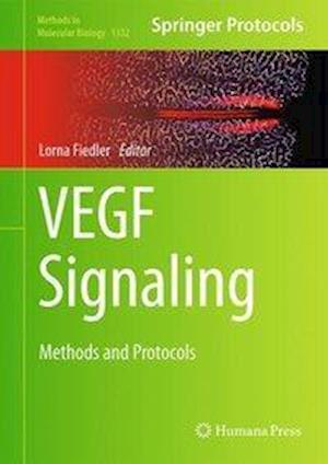 VEGF Signaling