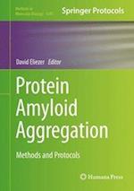 Protein Amyloid Aggregation