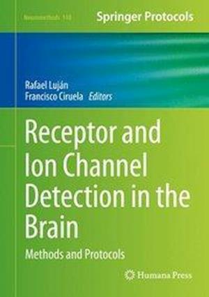 Receptor and Ion Channel Detection in the Brain