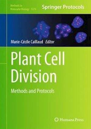 Plant Cell Division