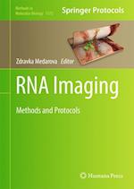 RNA Imaging