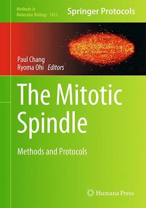 The Mitotic Spindle