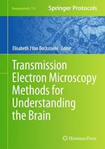 Transmission Electron Microscopy Methods for Understanding the Brain