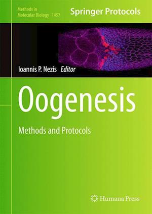 Oogenesis