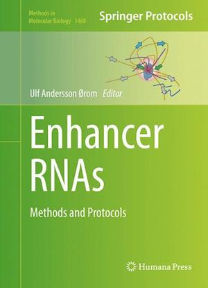 Enhancer RNAs