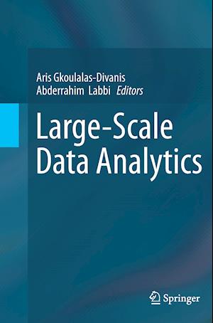 Large-Scale Data Analytics