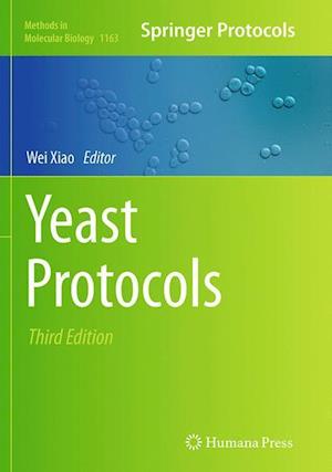 Yeast Protocols