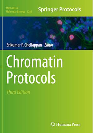 Chromatin Protocols