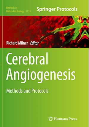 Cerebral Angiogenesis