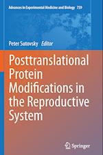 Posttranslational Protein Modifications in the Reproductive System
