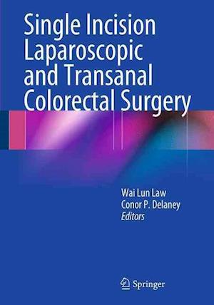 Single Incision Laparoscopic and Transanal Colorectal Surgery