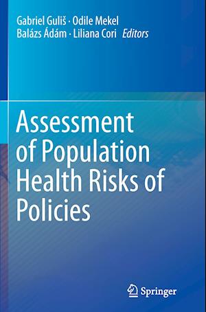 Assessment of Population Health Risks of Policies