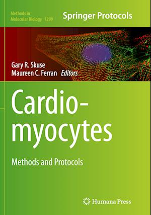 Cardiomyocytes