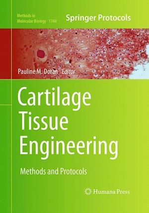 Cartilage Tissue Engineering