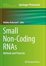 Small Non-Coding RNAs