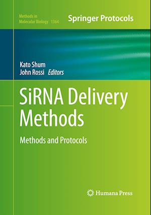 SiRNA Delivery Methods