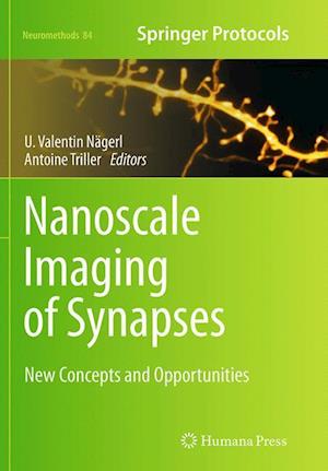 Nanoscale Imaging of Synapses