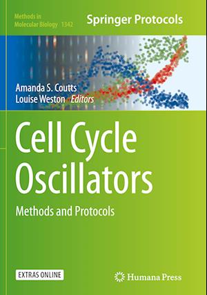 Cell Cycle Oscillators