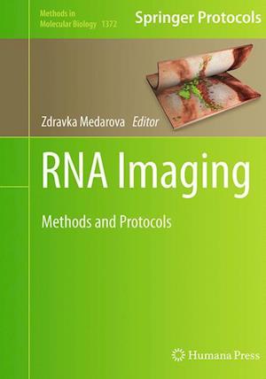 RNA Imaging