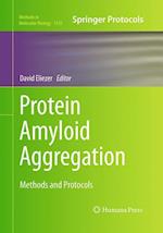 Protein Amyloid Aggregation