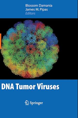 DNA Tumor Viruses