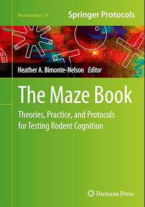 The Maze Book