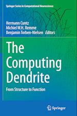 The Computing Dendrite