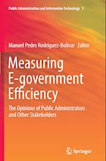 Measuring E-government Efficiency