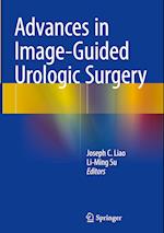 Advances in Image-Guided Urologic Surgery