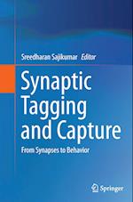 Synaptic Tagging and Capture