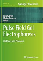 Pulse Field Gel Electrophoresis