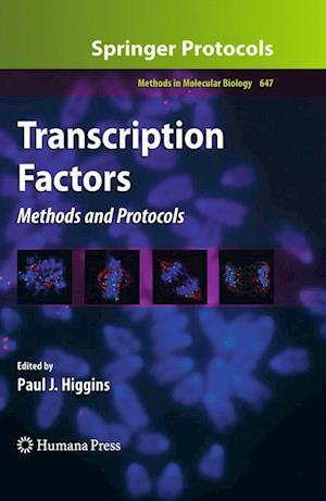 Transcription Factors