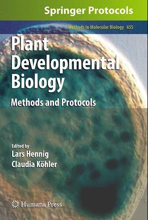 Plant Developmental Biology