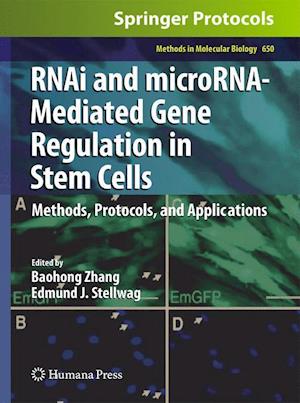 RNAi and microRNA-Mediated Gene Regulation in Stem Cells