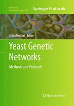 Yeast Genetic Networks
