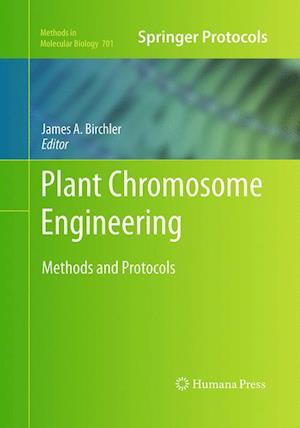 Plant Chromosome Engineering