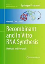 Recombinant and In Vitro RNA Synthesis