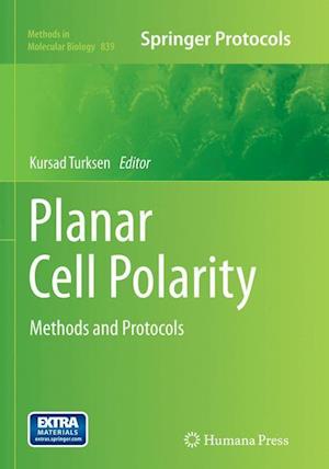 Planar Cell Polarity