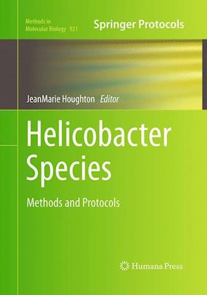 Helicobacter Species