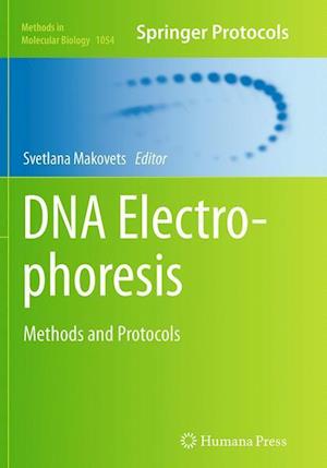 DNA Electrophoresis